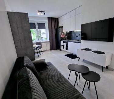 Tychy Apartment | Apartament Arkadowa