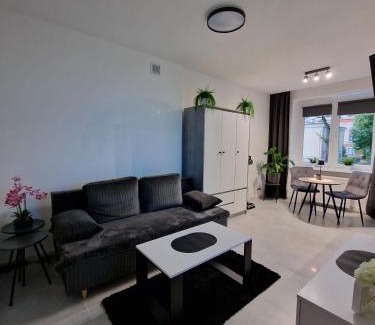 Tychy Apartment | Apartament Arkadowa
