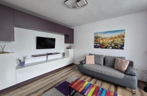 Piatra Neamt Apartment | Apartament ASR