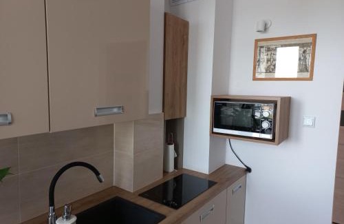 Biala Podlaska Apartment | Apartament BEKA z miejscem postojowym
