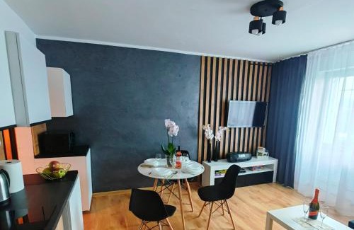 Chelmsko Slaskie Apartment | APARTAMENT CHEŁMSKO - rowery gratis