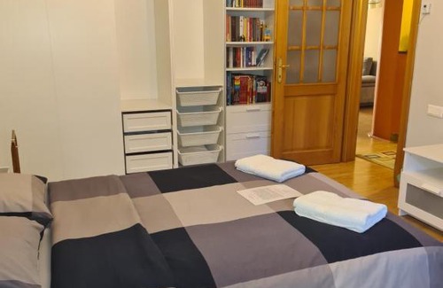 Emanoil Gojdu House | Apartament David Deva - 2 dormitoare & 1 living