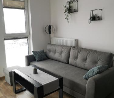 Lancut Apartment | Apartament dla Ciebie