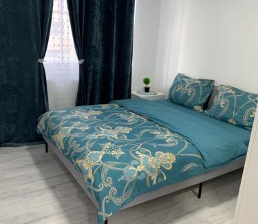 Barlad Apartment | Apartament Elena
