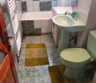 Campulung Moldovenesc Apartment | Apartament Florin