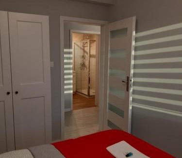 Brzezinka Apartment | Apartament FAMILY- klimatyzacja