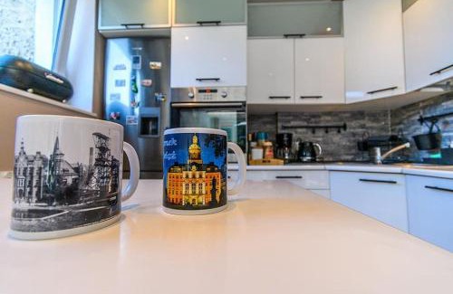 Walbrzych Apartment | Apartament Górnik w Wałbrzychu 40m, kuchnia, klima, Wifi, parking