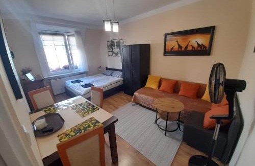 Poznan City Center Apartment | Apartament Garbary