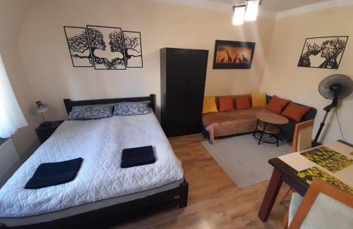 Poznan City Center Apartment | Apartament Garbary