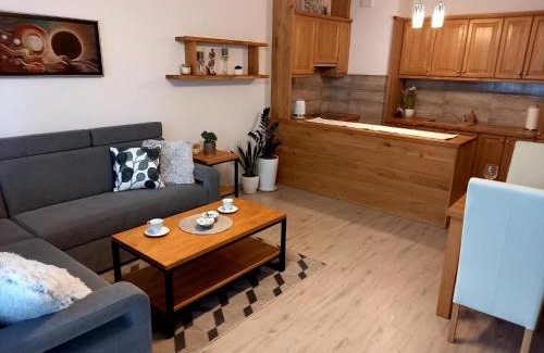 Starogard Gdanski Apartment | Apartament Green Park