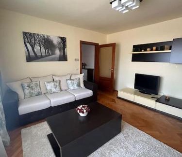 Lugoj Apartment | Apartament in Lugoj Gabriela
