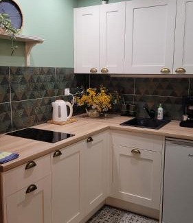 Naleczow Apartment | Apartament' Leśny przy parku'