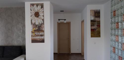 Olimp Apartment | Apartament lux Albert