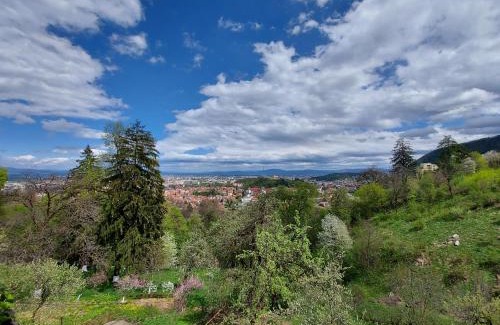 Brasov Apartment | Apartament Matei