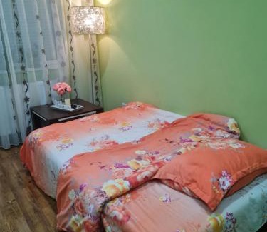 Medias Apartment | Apartament modern Cristina&Jessica