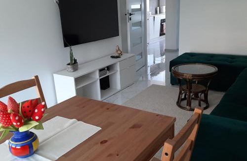 Oswiecim Apartment | Apartament na 9. piętrze