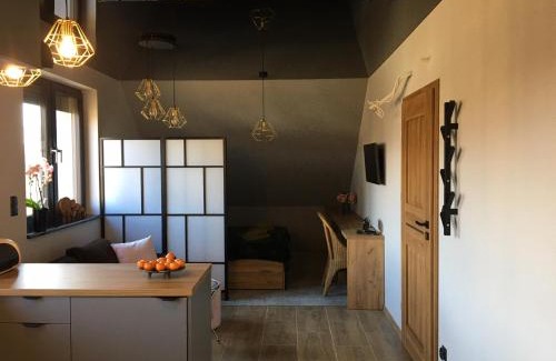 Skorochow Apartment | Apartament nad Jeziorem Nyskim