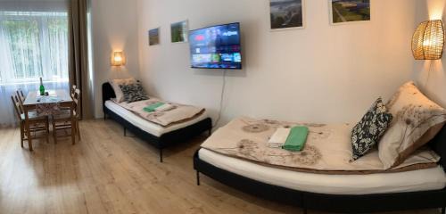Cedynia Apartment | Apartament Odertal