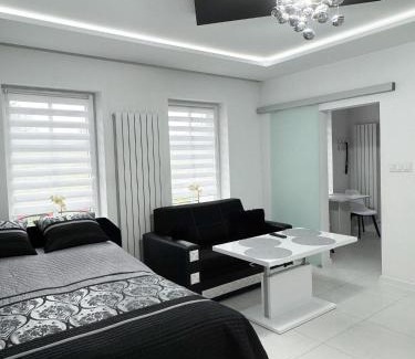 Gniezno Apartment | Apartament Pegaz