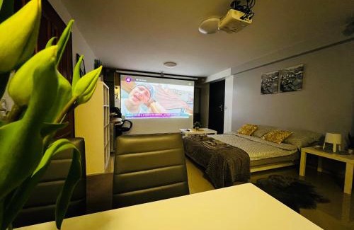 Pietrzykowice Apartment | Apartament PLAY