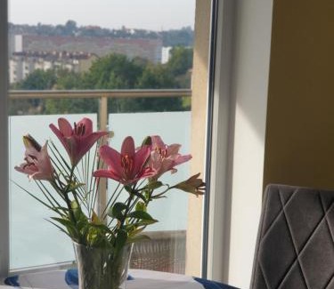 Emaus Apartment | Apartament Słoneczny blisko Centrum Gdańska