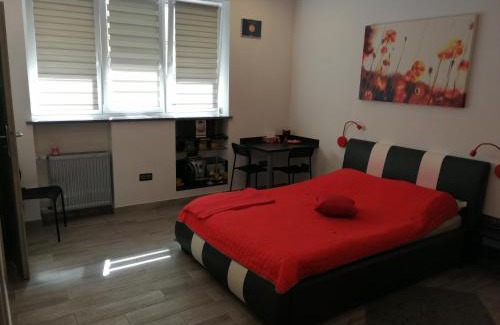 Powisle Apartment | Apartament Salezego