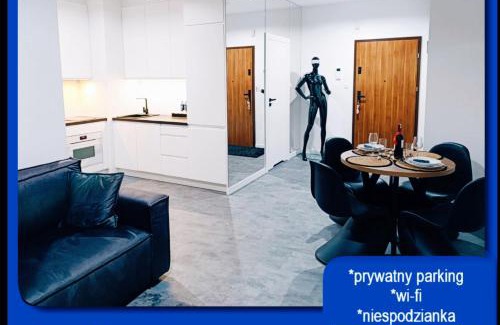 Pila Apartment | Apartament Sztuk Pięknych 10
