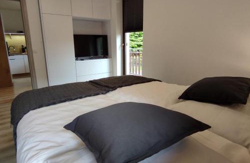 Stronie Slaskie Apartment | Apartament Szumi Las Kletno