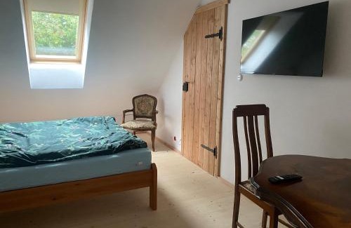 Szteklin Cabin | Apartament w Zabytkowej Stajni nad Jeziorem z Dostępem do Parku i Sąsiedztwem XIX wiecznego Dworku Modrzewiowego