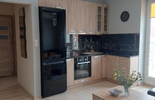Subcarpathian Province Apartment | Apartament ZARA Self Check In