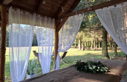 Niemce Apartment | Apartament Zielony - Dom Nasutów