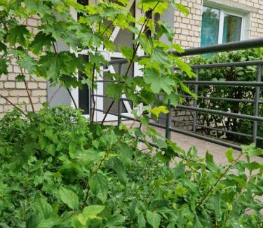 Grigiskes Apartment | Apartamentai Grigiškes