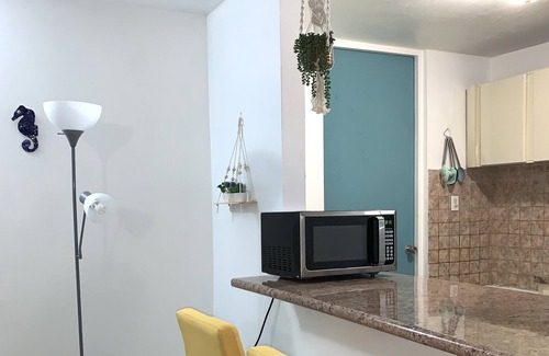 Hato Abajo Apartment | Apartamento Céntrico y Tranquilo Cerca de Playas y Restaurantes en Arecibo