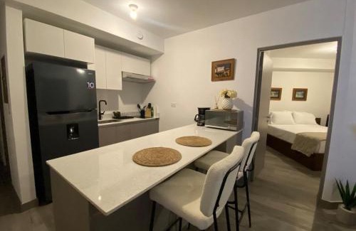 Barrio Escalante Apartment | Apartamento en Barrio Escalante