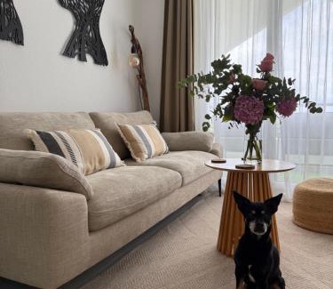 Mogro Apartment | Apartamento en Mogro. La Pizca.