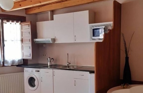 Ponga Apartment | Apartamentos Aguasaliu