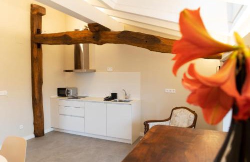Baztan Apartment | Apartamentos en Baztan HIRU KABI, HIGA