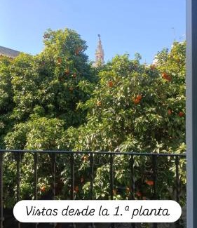 Santa Cruz Apartment | Apartamentos en la Plaza Doña Elvira, 7
