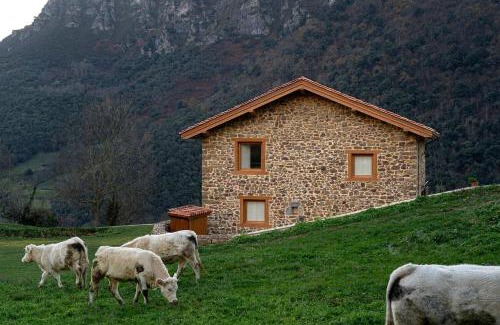 Mogrovejo Apartment | Apartamentos Luarna