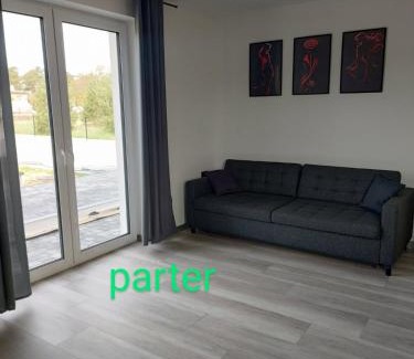 Slesin Apartment | Apartamenty Ślesin
