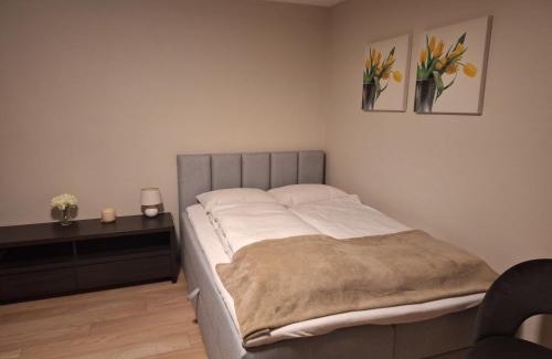 Bystrzyca Kłodzka Apartment | Apartamenty "Kotlina"