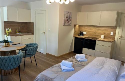 gmina Kaliska Apartment | Apartamenty Leśna Przystań Kazub nr 11