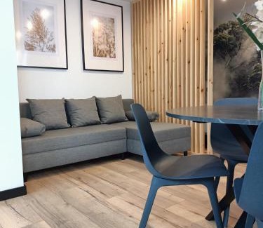 Kielce Apartment | Apartamenty PREMIUM, Faktura VAT, KLIMATYZACJA, AIR CONDITIONING, GROUND FLOOR, PARKING, PARTER, CISZA I SPOKÓJ, QUIET AND PLEASANT, IDEALNY NA ODPOCZYNEK PERFECT FOR REST