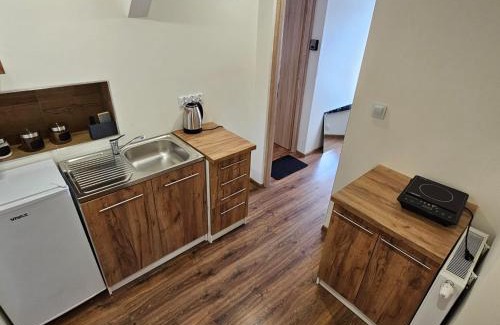 Dzialdowo Apartment | Apartamenty Tadeusza Kościuszki 4 Szmaragdowy
