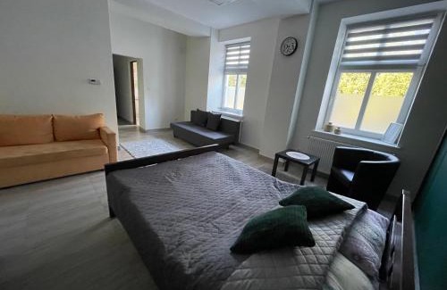 Swilcza Apartment | Apartamenty Trzciana