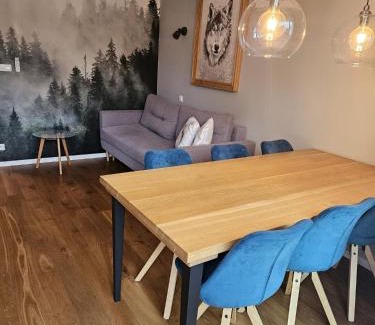 Polanczyk Apartment | Apartamenty Zdrojowa 6