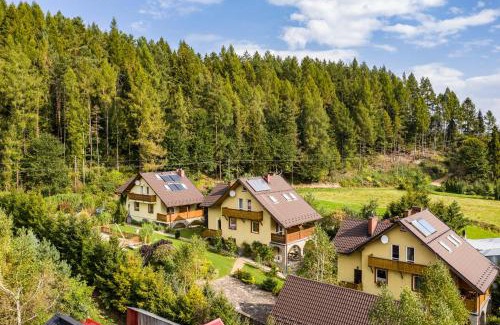 Niedzica Apartment | Apartamenty Zielona Owieczka