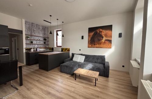 Dvur Kralove nad Labem Apartment | Apartemnt in Dvůr Králové nad Labem