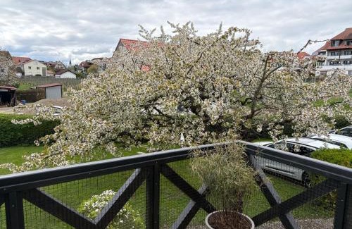 Hagnau Apartment | Apartes Studio am See