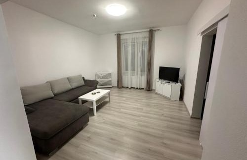 Lugoj Apartment | Aparthouse 1